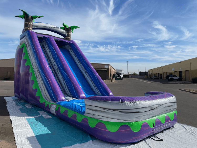 20' Purple Crush Water Slide