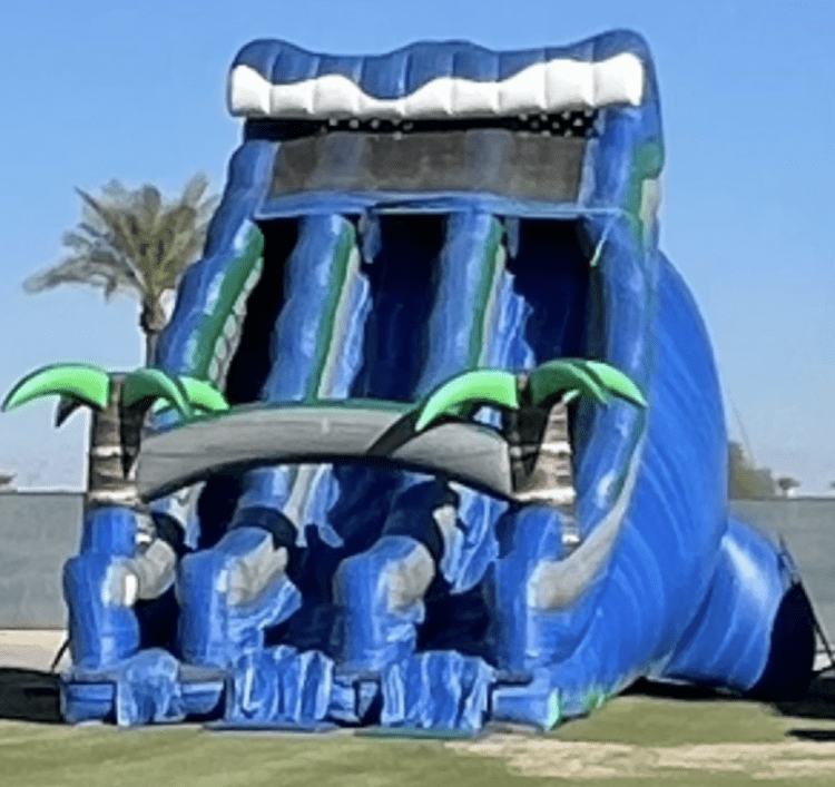 24' Double Lane Dry Slide