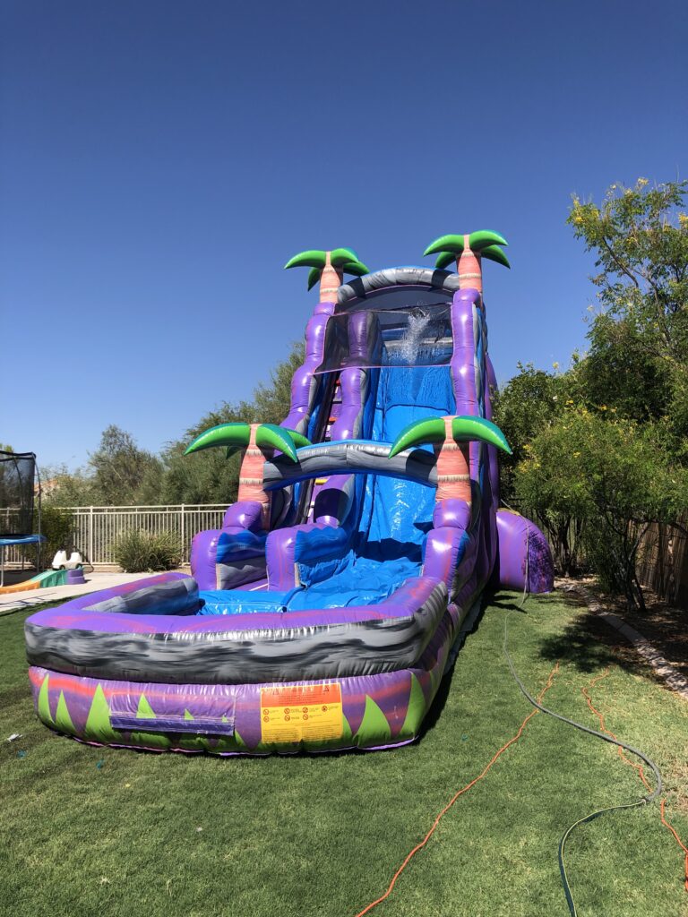 Backyard Purple Crush Water Slide Inflatables