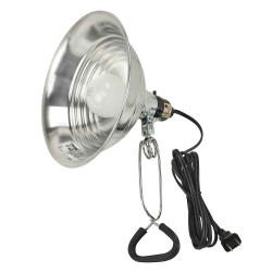 Clamp Light