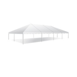 30' x 60' Frame Tent